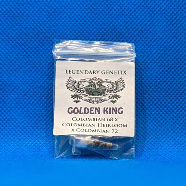 Lot #560 Snow High Golden King (Columbian 68 x Columbian Heirloom x Columbian 72) [Reg] [5pk]