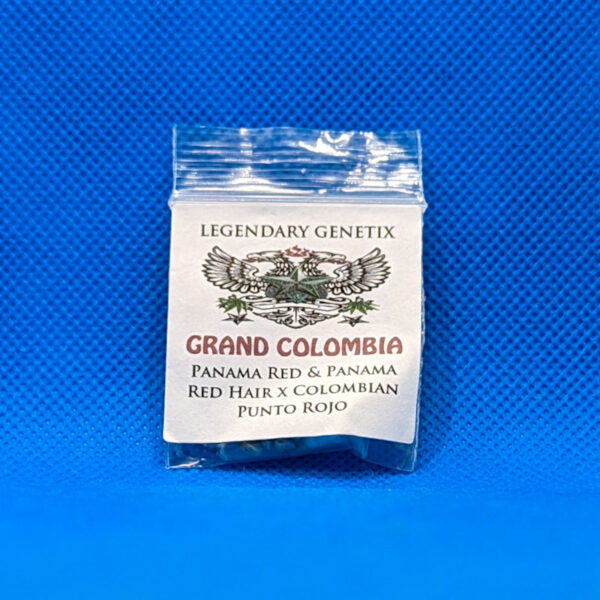 Lot #588 snow High Grand Colombian (Panama Red & Panama Red Hair x Colombian Punto Rojo) [Reg] [5pk]