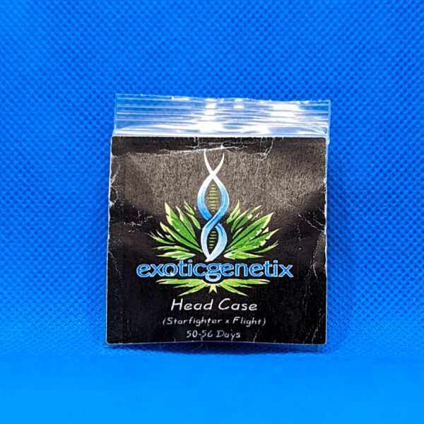 Lot #606 Exotic Head Case (Starfighter x Flight) [Reg] [pk]