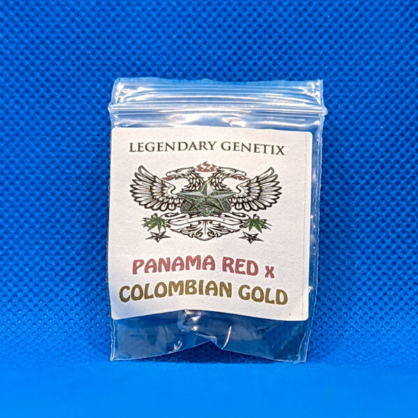 Lot #616 Snow High  (Panama Red x Colombian Gold) [Reg] [5pk]