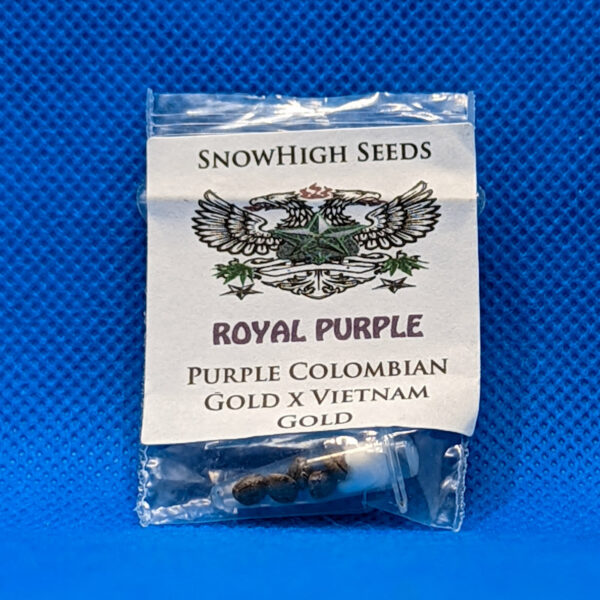 Lot #617 Snow High Royal Purple (purple pheno of Pablos Gold x Vietnam Gold) [Reg] [5pk]