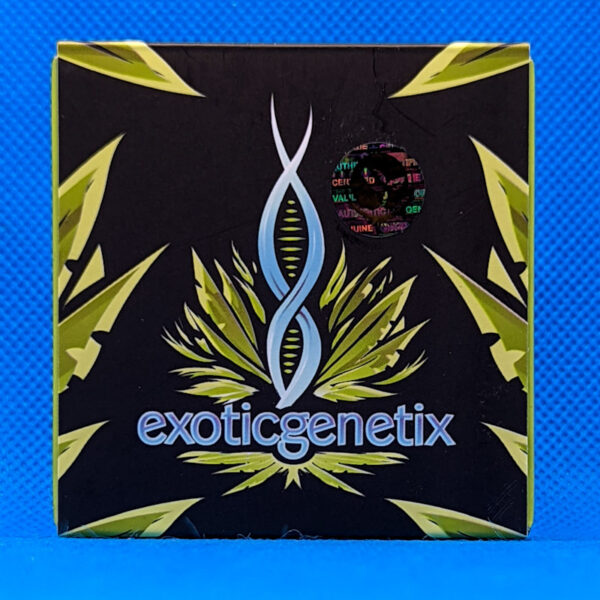 Lot #634 Exotic  Future, The (Gorilla Glue #4 x Starfighter F2) [Reg] [10pk] - Image 2