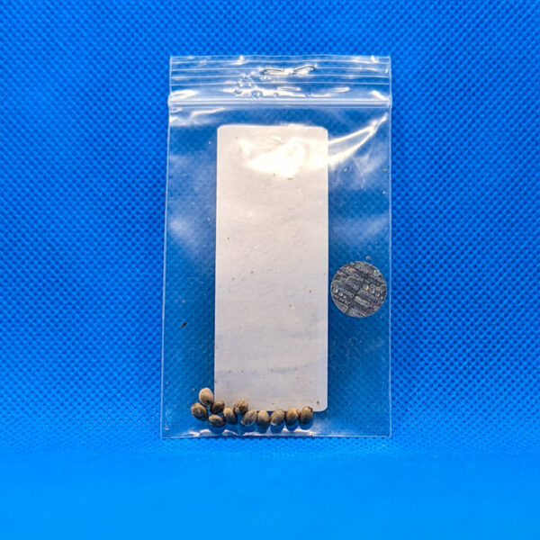 Lot #638 Melvanitics Buckeye Purple F6BX1 (Gorilla Grape X GDP) [Reg] [10pk] - Image 2