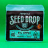 Lot #670 Seed Junky Big Apple (Apple Fritter x Sherb BX1) [Reg] [12pk]
