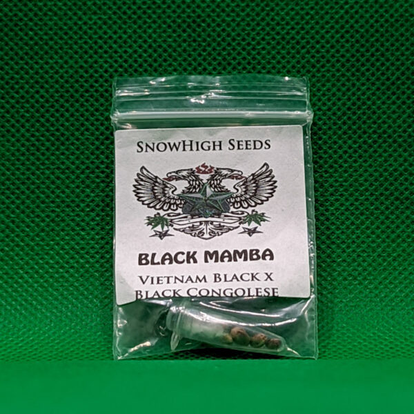 Lot #698 Snow High Black Mamba (Vietnam Black X Black Congolese) [Reg] [5pk]