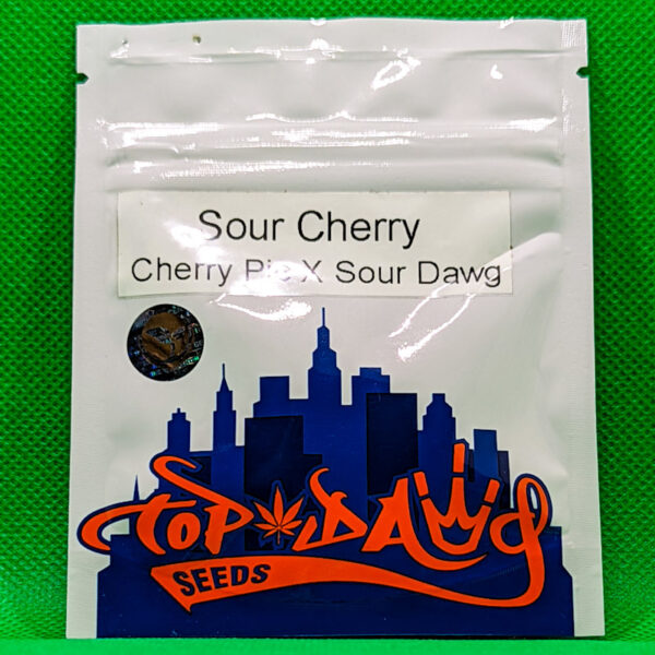 Lot #700 Top Dawg Sour Cherry (Cherry Pie X Sour Dawg) [Reg] [11pk]
