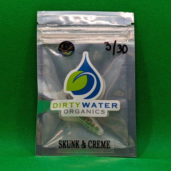 Lot.C20 Dirty Water – Skunk & Creme (Vanilla berry creme x uncle fester skunk ibl) [Reg] [10pk]