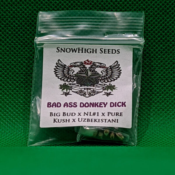 Lot #726 Snow High Bad Ass Donkey Dick ((Old School Big Bud x Northern Lights #1 x Pure Kush x Uzbekistani)) [Reg] [5pk]