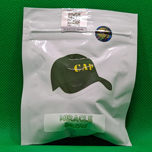 Lot #736 Capulator Miracle Grow ((Scotts OG x Blockhead) x Miracle) [Reg] [10pk]