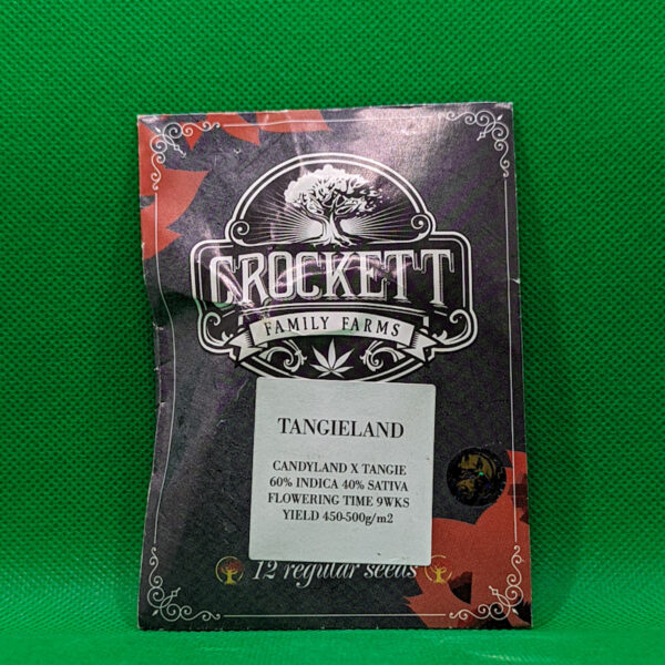 Lot #738 Crockett Tangieland (Candyland X Tangie) [Reg] [12pk]