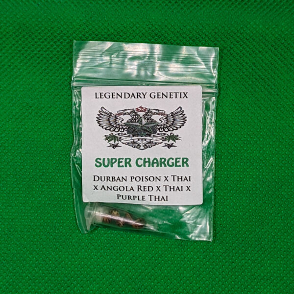 Lot #777 Snow High Super Charger (Durban Poison x Thai x Angola Red x Thai x Purple Thai) [Reg] [5pk]