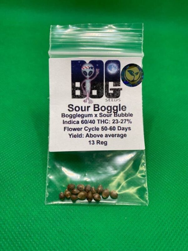 Lot #783 BOG Sour Boggle (BOG Bogglegum X BOG Sour Bubble) [Reg] [13pk]