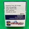 Lot #787 Cannarado Snooker ((Slurricane) x London Pound Cake 75) [Fem] [6pk] - Image 2