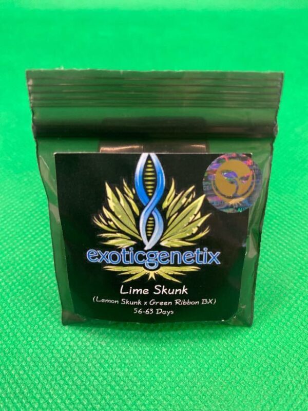 Lot #793 Exotic Lime Skunk (Lemon Skunk x Green Ribbon BX) [Reg] [10pk]