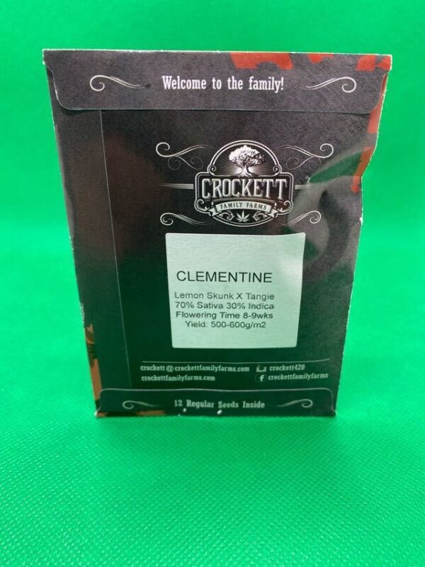 Lot #815 Crockett Clementine  (Lemon Skunk x Tangie) [Reg] [12pk] - Image 2