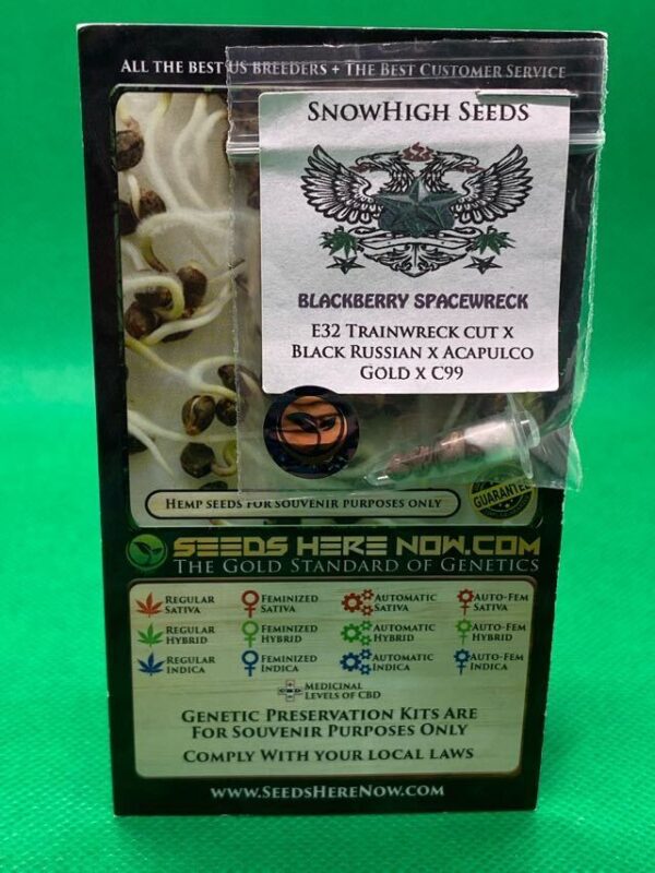 Lot #817 Snow High  Blackberry Spacewreck (E32 Trainwreck Cut x Black Russian x Acapulco Gold x C99) [Reg ] [5pk]