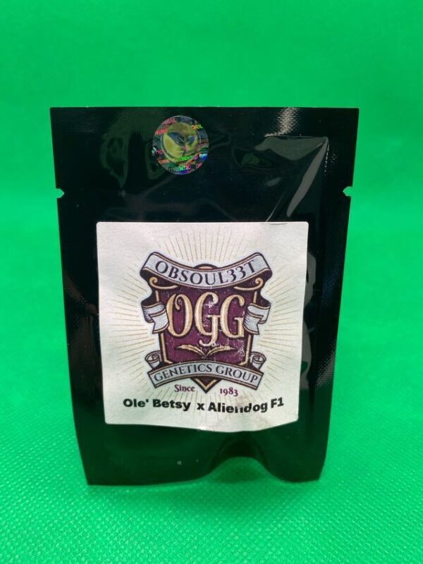 Lot #831 Obsoul33t Ole’ Betsy x Aliendog F1 (Ole’ Betsy x Aliendog F1) [Reg] [10pk]