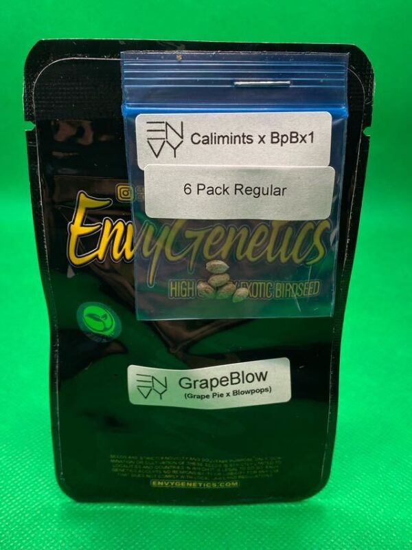Lot #856 Envy Genetics  GrapeBlow (Grape Pie x Blowpops) [Reg] [12pk]