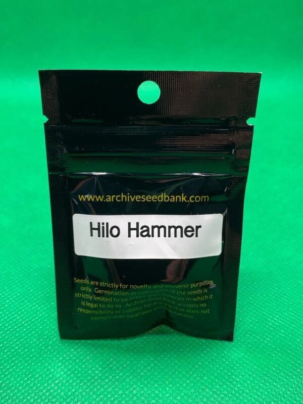 Lot #857 Archive  Hilo Hammer ((Hawaii Web Indica x Molokai Frost) x FOBX1) [Reg] [12pk] - Image 2
