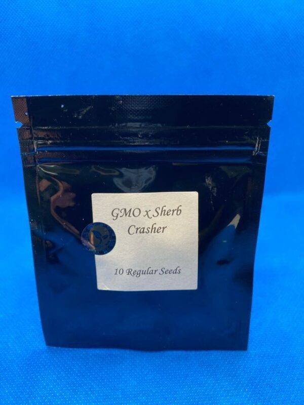 Lot #866 Seed Junky Genetics GMO X Sherb Crasher  () [Reg] [10pk]