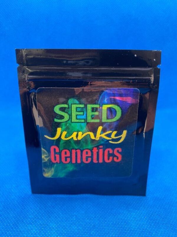 Lot #866 Seed Junky Genetics GMO X Sherb Crasher  () [Reg] [10pk] - Image 2