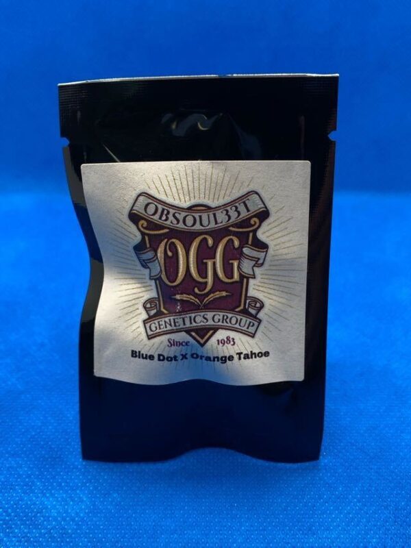 Lot #871 Obsoul33t Blue Dot x Orange Tahoe (Blue Dot x Orange Tahoe) [Reg] [10pk]
