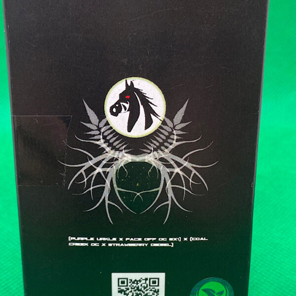 Lot #882 Darkhorse Genetics  ((Purple Urkle x Face Off OG bx1) x (Coal Creek OG x Strawberry Diesel)) [Reg] [12pk] - Image 2