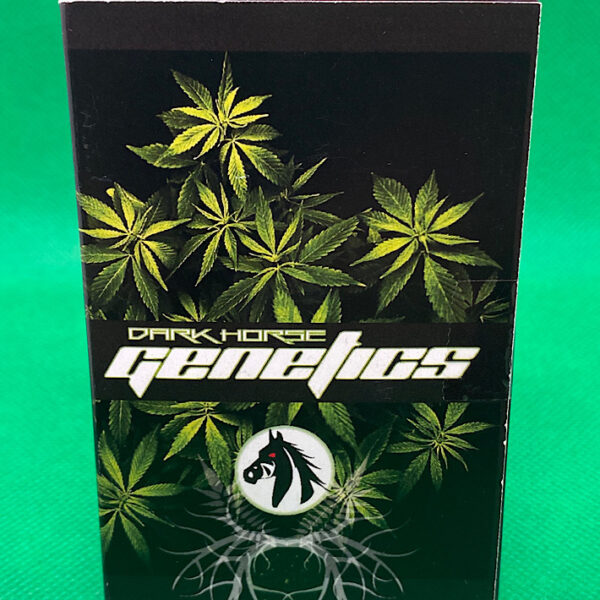 Lot #882 Darkhorse Genetics  ((Purple Urkle x Face Off OG bx1) x (Coal Creek OG x Strawberry Diesel)) [Reg] [12pk]