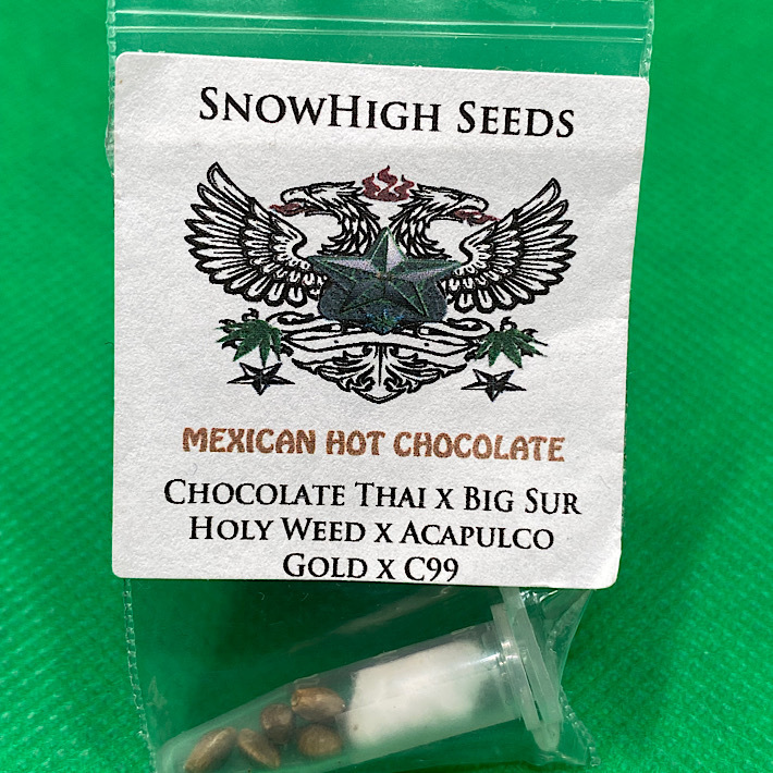 Lot 884 SnowHigh Seeds Mexican Hot Chocolate (Chocolate Thai x Big Sur
