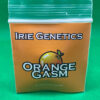 Lot #887 Irie Genetics  Orange Gasm (Platinum Tangie x Golden Goat) [Fem] [6pk]