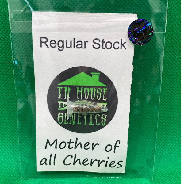 Lot #888 In-House Genetics  Mother of all Cherries  (MOAB x Black Cherry Pie) [Reg] [5pk]
