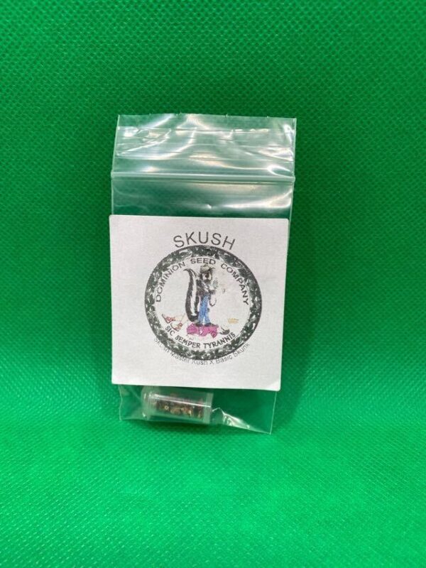 Lot #913 Dominion Seed Co Skush () [Reg] [10pk]