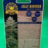 Lot #918 Humboldt Seed Co. Jelly Rancher  (Very Cherry x Notorious T.H.C) [Fem] [10pk] - Image 2