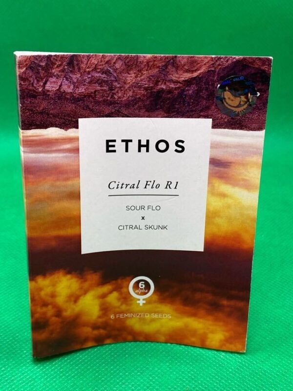 Lot #922 Ethos  Citral Flo R1 (Sour Flo x Citral Skunk) [Fem] [6pk]
