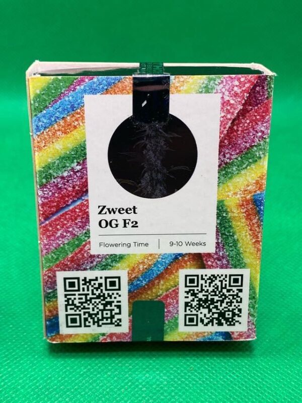 Lot #929 Ethos  Zweet OG F2 (Zweet OG F1 x Zweet OG F1) [Reg] [17pk] - Image 2