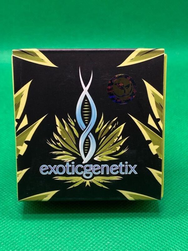 Lot #933 Exotic Kimbo Kush (Black Berry Kush X Starfighter F2 TA Kimbo Kush x Kimbo Kush) [Reg] [10pk] - Image 2