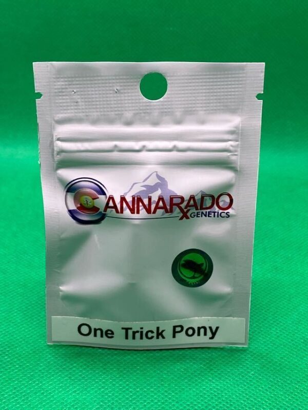 Lot #939 Cannarado Genetics One Trick Pony  (GG4 X TK91) [Fem] [6pk]