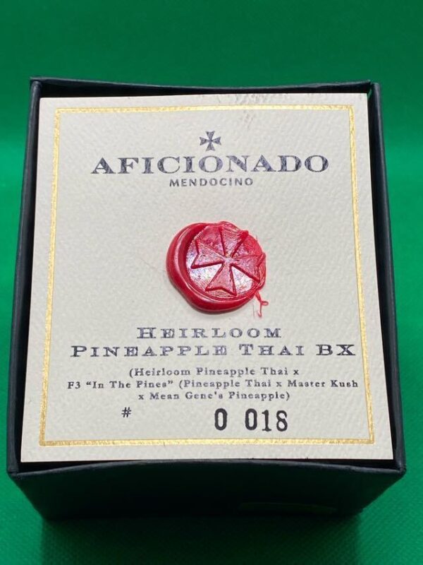 Lot #944 Aficionado  Heirloom Pineapple Thai BX ((Heirloom Pineapple Thai x F3 “In The Pines” (Pineapple Thai x Master Kush x Mean Gene’s Pineapple)) [Reg] [10pk]