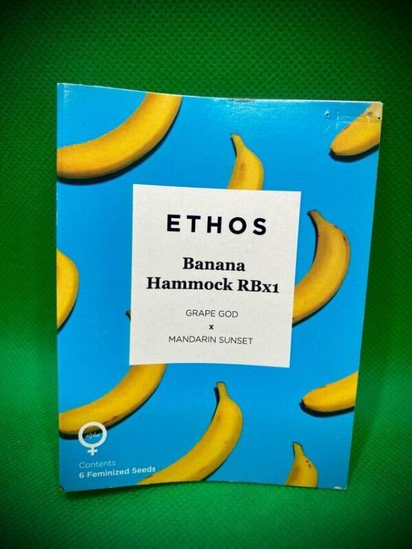 Lot #956 Ethos Banana Hammock RBx1 (Grape God X Mandarin Sunset) [Fem] [6pk]