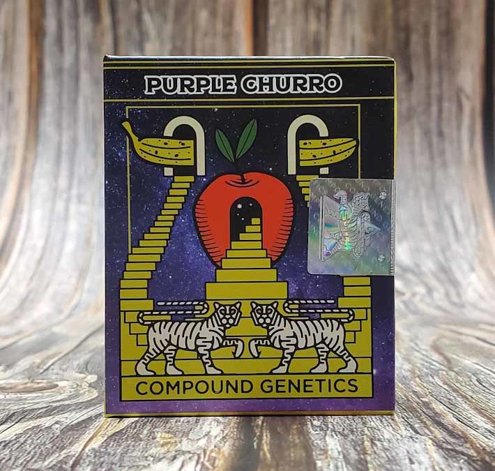 Lot #D-19 Compound Genetics Purple Churro ((Cinnamon Horchata x Apples & Bananas)) [Fem] [13pk]