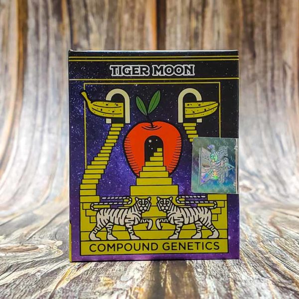 Lot #D-9 Compound Genetics Tiger Moon ((Pluto S1 x Apples & Bananas)) [Fem] [13pk]