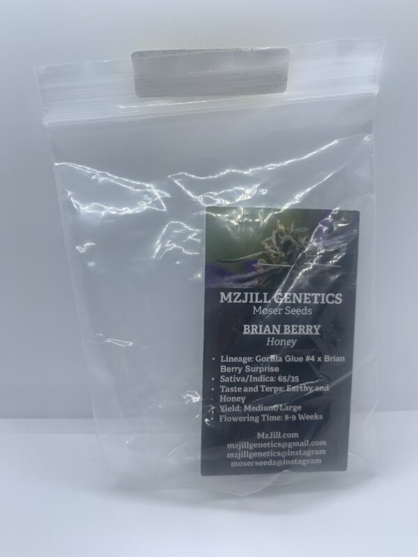 Lot.B20 Mz Jill – Brian Berry Honey {REG} [5pk]