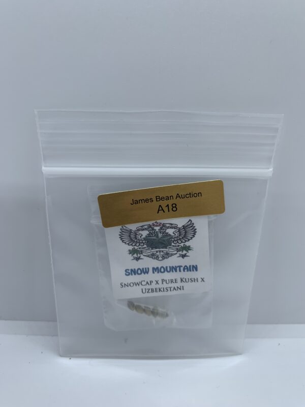 LotA18 Snow High Seeds - Snow Mountain {REG} [5pk]