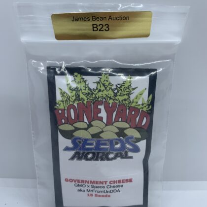 LotB23 Boneyard Seeds - Government Cheese {REG} [15pk]