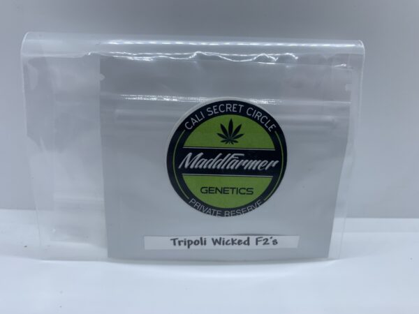 LotB28 Maddfarmer Genetics - Tripoli Wicked F2's {REG} [10pk]
