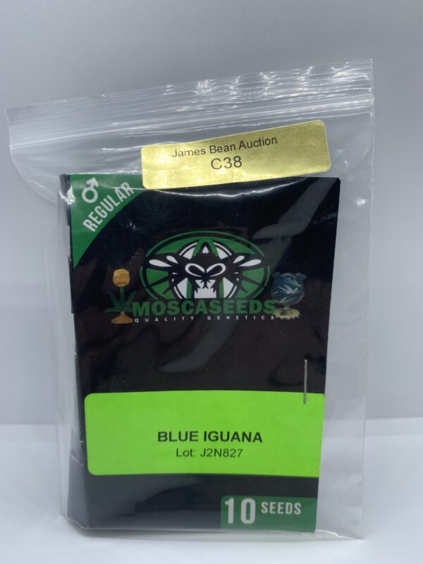 LotC38 Mosca Seeds – Blue Iguana [Reg] [10pk]