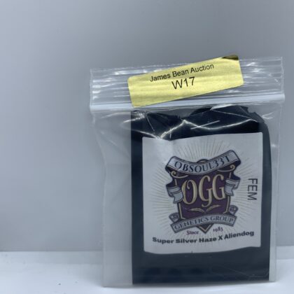 LotW17 Obsoul33t Genetics - Super Silver Haze x AlienDog {FEM} [6pk] *Opened Package