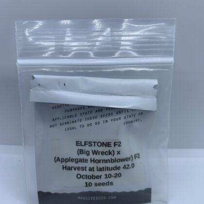 Massive Seeds - Elfstone F2 {REG} [10pk]