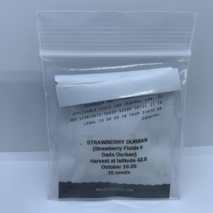 Massive Seeds - Strawberry Durban {REG} [10pk]