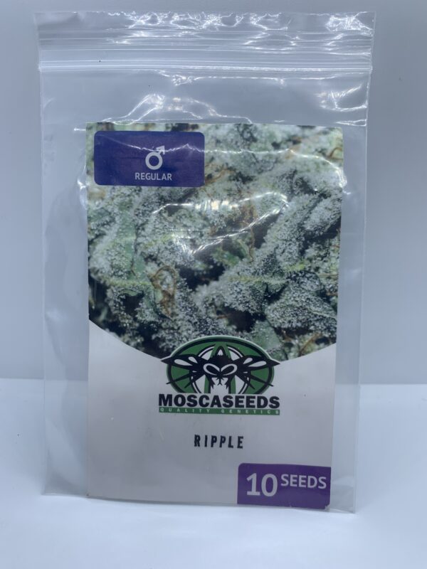 Mosca Seeds - Ripple {REG} [10pk]